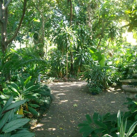 Wendy'S Country Lodge Mtubatuba Екстер'єр фото